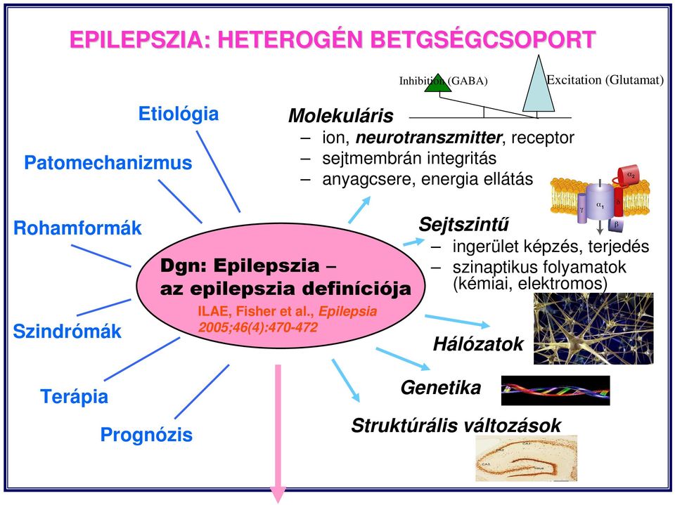 Szindrómák Dgn: Epilepszia az epilepszia definíciója ILAE, Fisher et al.