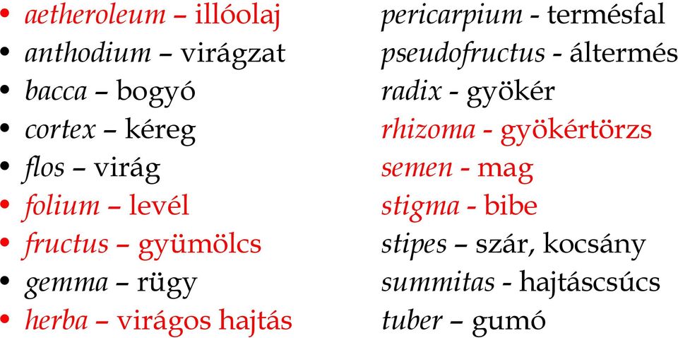 termésfal pseudofructus - áltermés radix - gyökér rhizoma - gyökértörzs