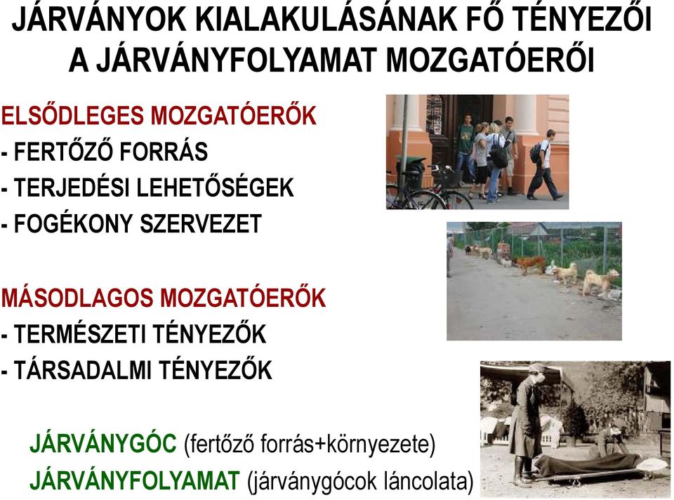 SZERVEZET MÁSODLAGOS MOZGATÓERİK - TERMÉSZETI TÉNYEZİK - TÁRSADALMI