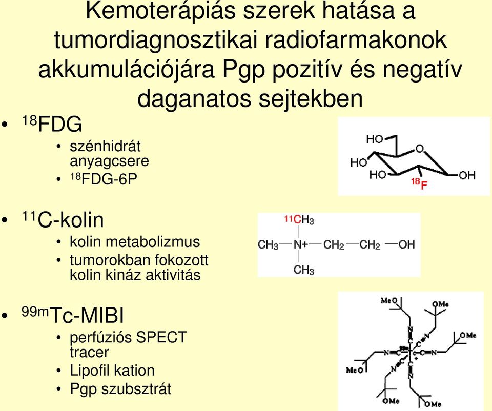 11 C-kolin kolin metabolizmus tumorokban fokozott kolin kináz aktivitás 99m