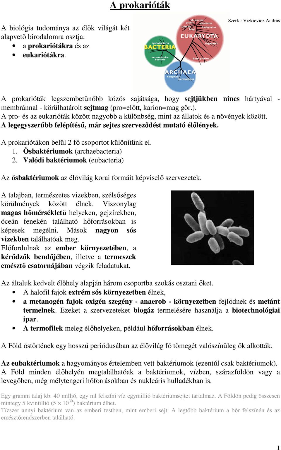 A pro- és az eukarióták között nagyobb a különbség, mint az állatok és a növények között. A legegyszerűbb felépítésű, már sejtes szerveződést mutató élőlények.