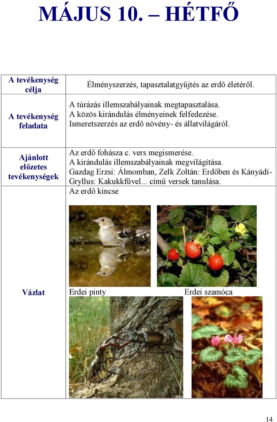 Ismeretszerzés az erdő növény- és állatvilágáról. Ajánlott előzetes tevékenységek Az erdő fohásza c. vers megismerése.