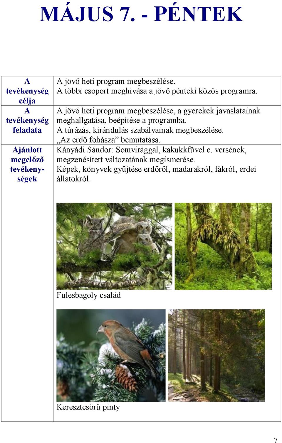 A jövő heti program megbeszélése, a gyerekek javaslatainak meghallgatása, beépítése a programba.