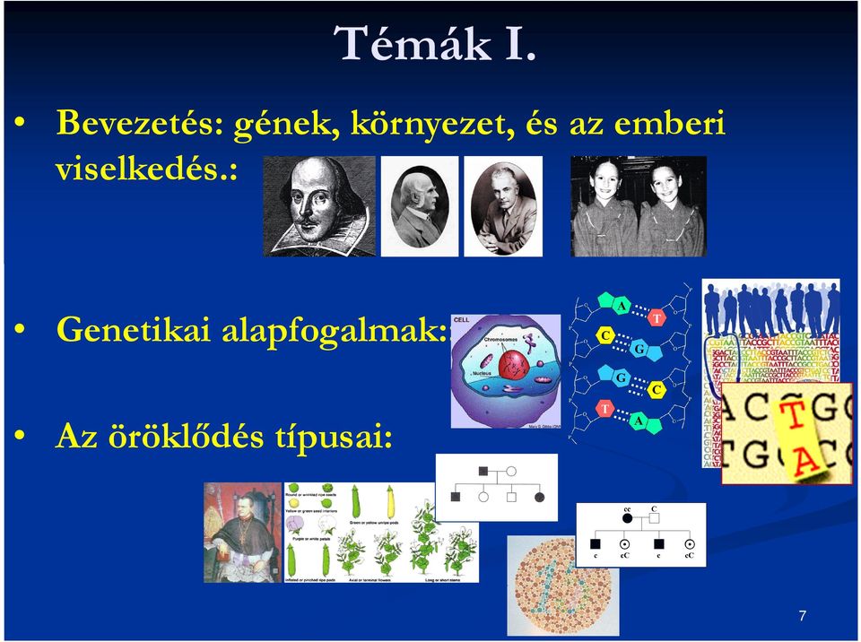 környezet, és az emberi