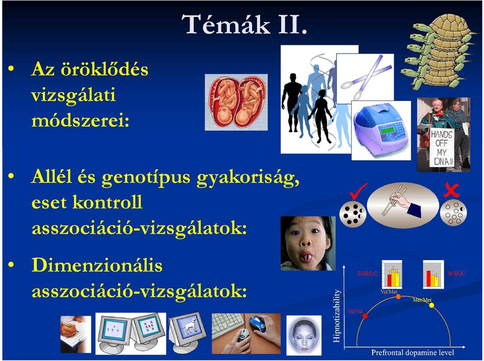 genotípus gyakoriság, eset kontroll