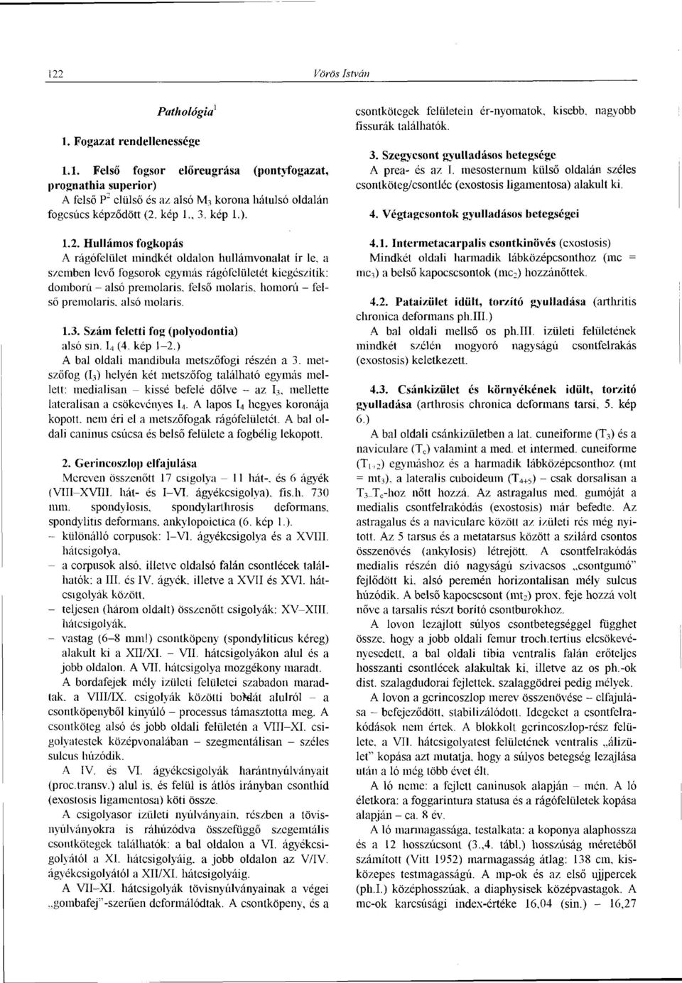 felső moláris, homorú - felső premolans, alsó moláris. 1.3. Szám feletti fog (polyodontia) alsó sin. L, (4. kép 1-2.) A bal oldali mandibula metszőfogi részén a 3.