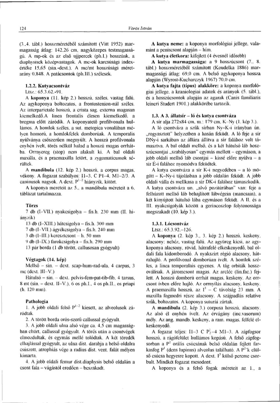 ) hosszú, széles, vastag falú. Az agykoponya boltozatos, a frontostenion-nál széles. Az interparietale hosszú, a crista sag. externa magasan kiemelkedő.
