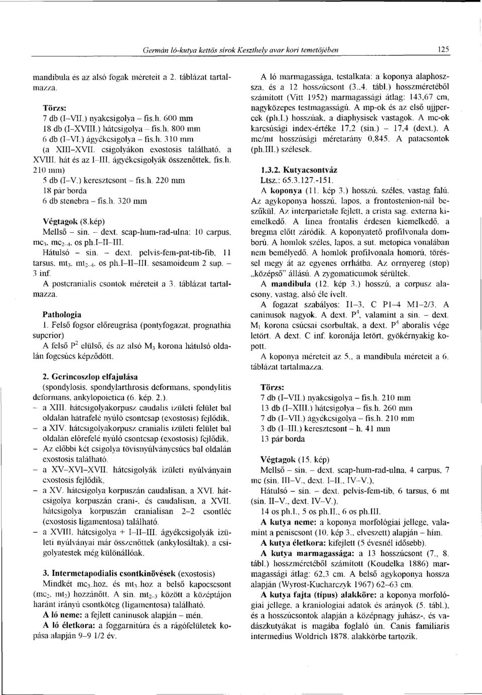 ) keresztcsont - fis.h. 220 mm 18 par borda 6 db stenebra - fis.h. 320 mm Végtagok (8.kép) Mellső - sin. - dext. scap-hum-rad-ulna: 10 carpus. mc 3. mc 2-4. os ph.i II III. Hátulsó - sin. - dext. pelvis-fem-pat-tib-fíb, 11 tarsus, mt 3, mt 2 _ 4.