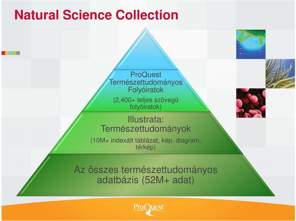 Illustrata: Természettudományok (10M+ indexált táblázat,