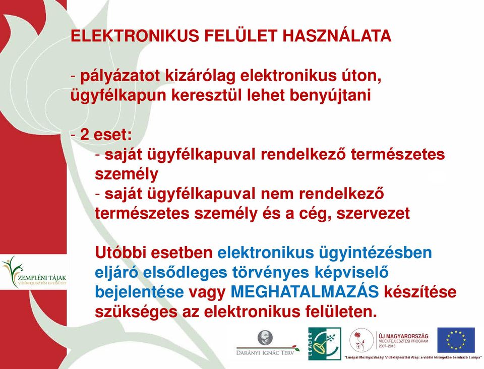 rendelkező természetes személy és a cég, szervezet Utóbbi esetben elektronikus ügyintézésben eljáró