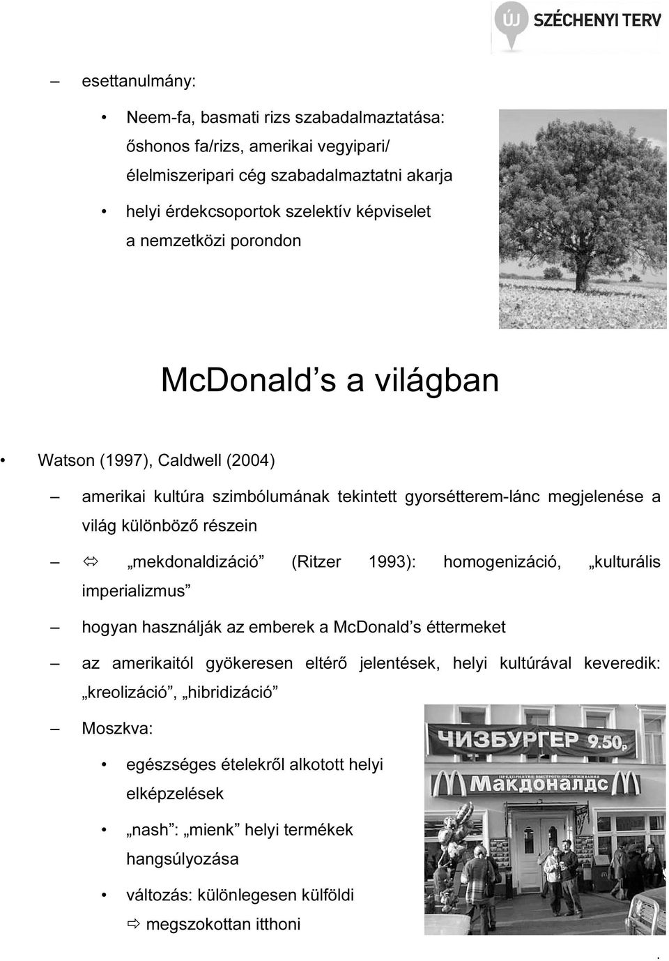 mekdonaldizáció (Ritzer 1993): homogenizáció, kulturális imperializmus hogyan használják az emberek a McDonald s éttermeket az amerikaitól gyökeresen eltérő jelentések, helyi