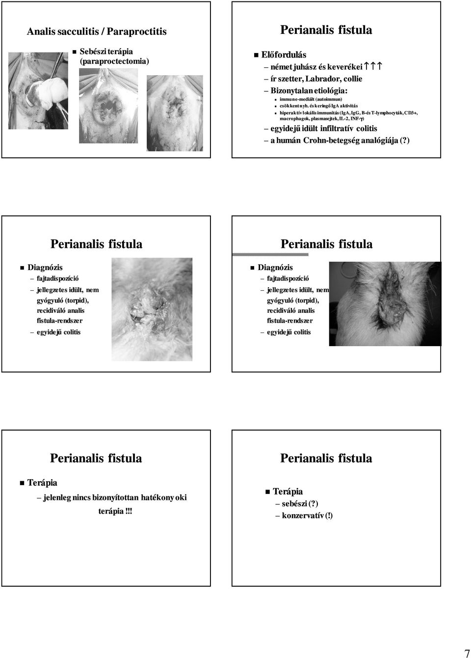 és keringő IgA aktivitás hiperaktív lokális immunitás (IgA, IgG, B-és T-lymphocyták lymphocyták, CD3+, macrophagok, plasmasejtek, IL-2, INF-γ) egyidejű idült infiltratív colitis a humán