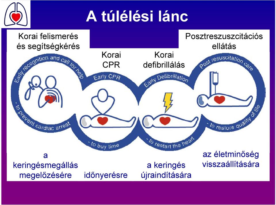 időnyerésre Korai defibrillálás Posztreszuszcitációs