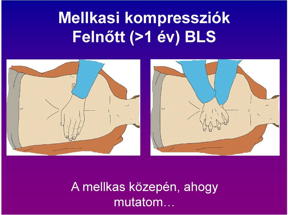 Felnőtt (>1 év)