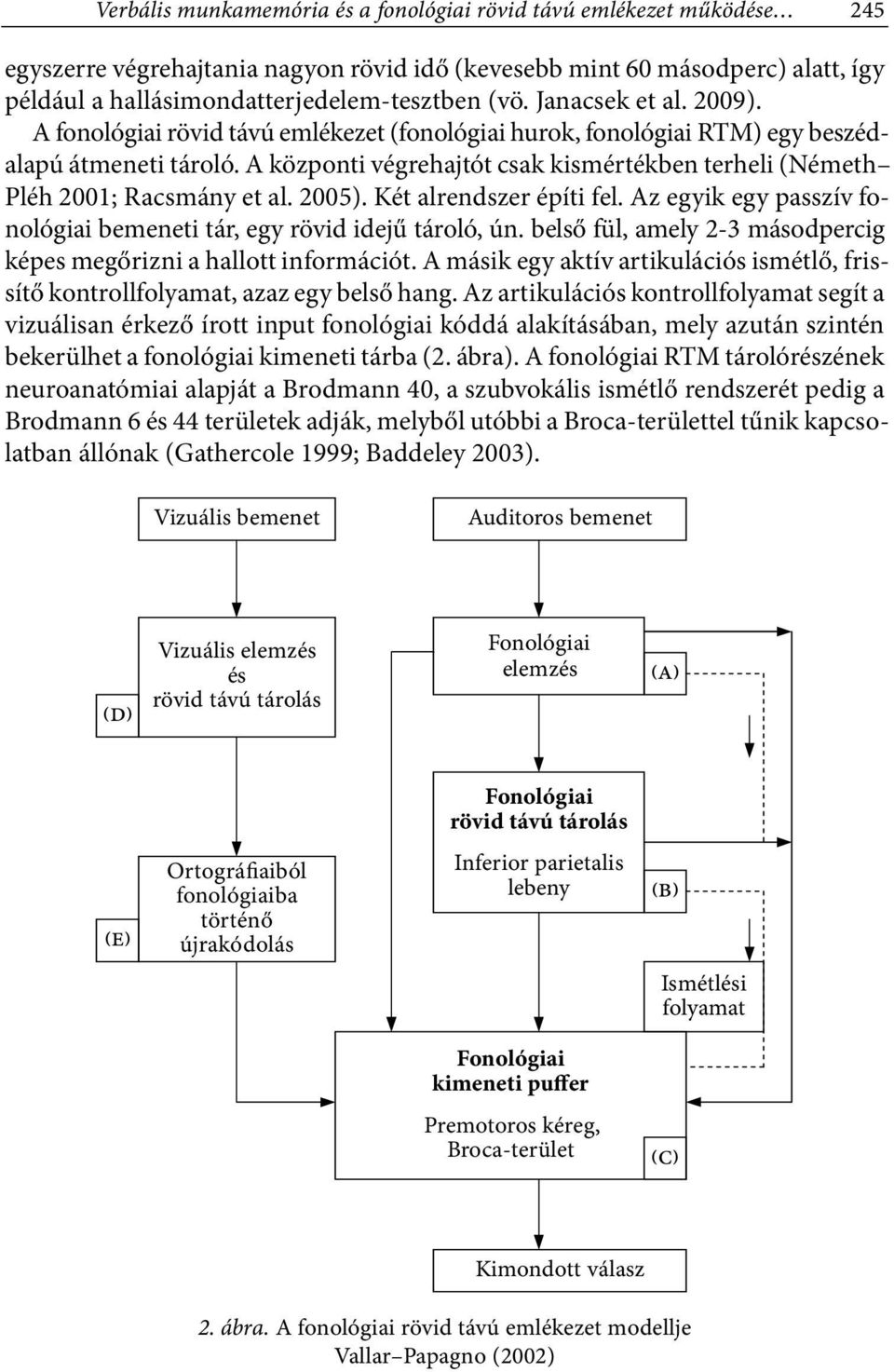 A központi végrehajtót csak kismértékben terheli (Németh Pléh 2001; Racsmány et al. 2005). Két alrendszer építi fel. Az egyik egy passzív fonológiai bemeneti tár, egy rövid idejű tároló, ún.