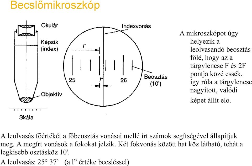 A leolvasás főértékét a főbeosztás vonásai mellé írt számok segítségével állapítjuk meg.