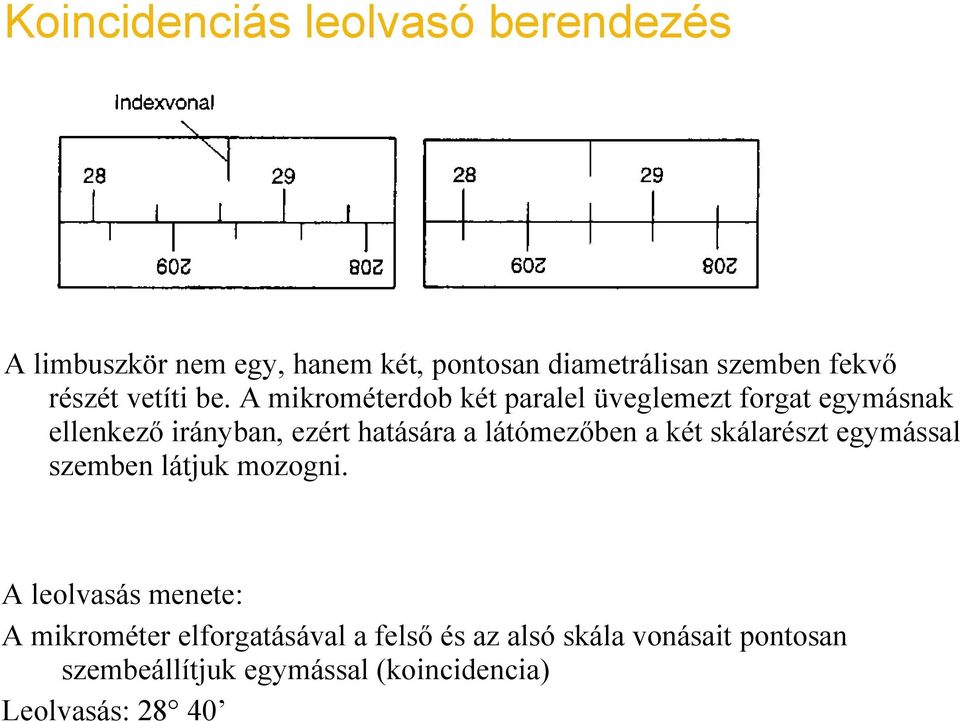 A mikrométerdob két paralel üveglemezt forgat egymásnak ellenkező irányban, ezért hatására a látómezőben a