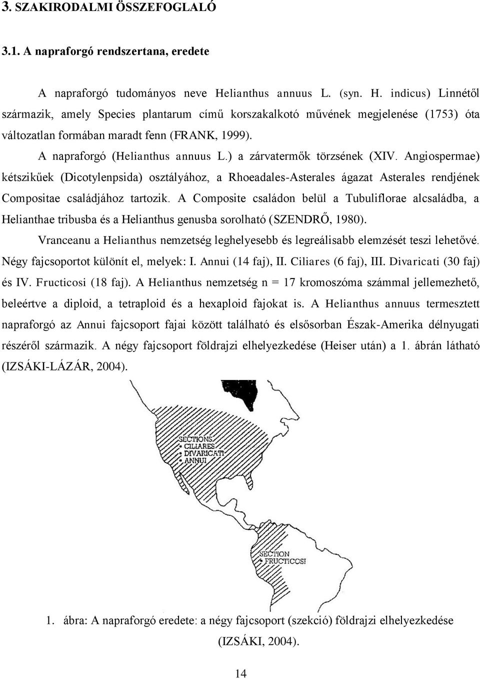 A napraforgó (Helianthus annuus L.) a zárvatermők törzsének (XIV.