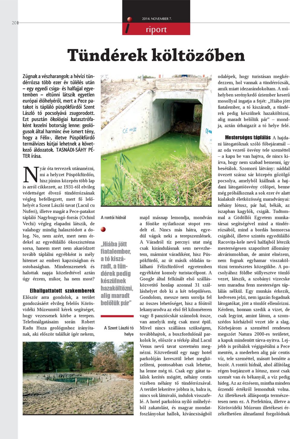 patakot is tápláló püspökfürdői Szent László tó pocsolyává zsugorodott.