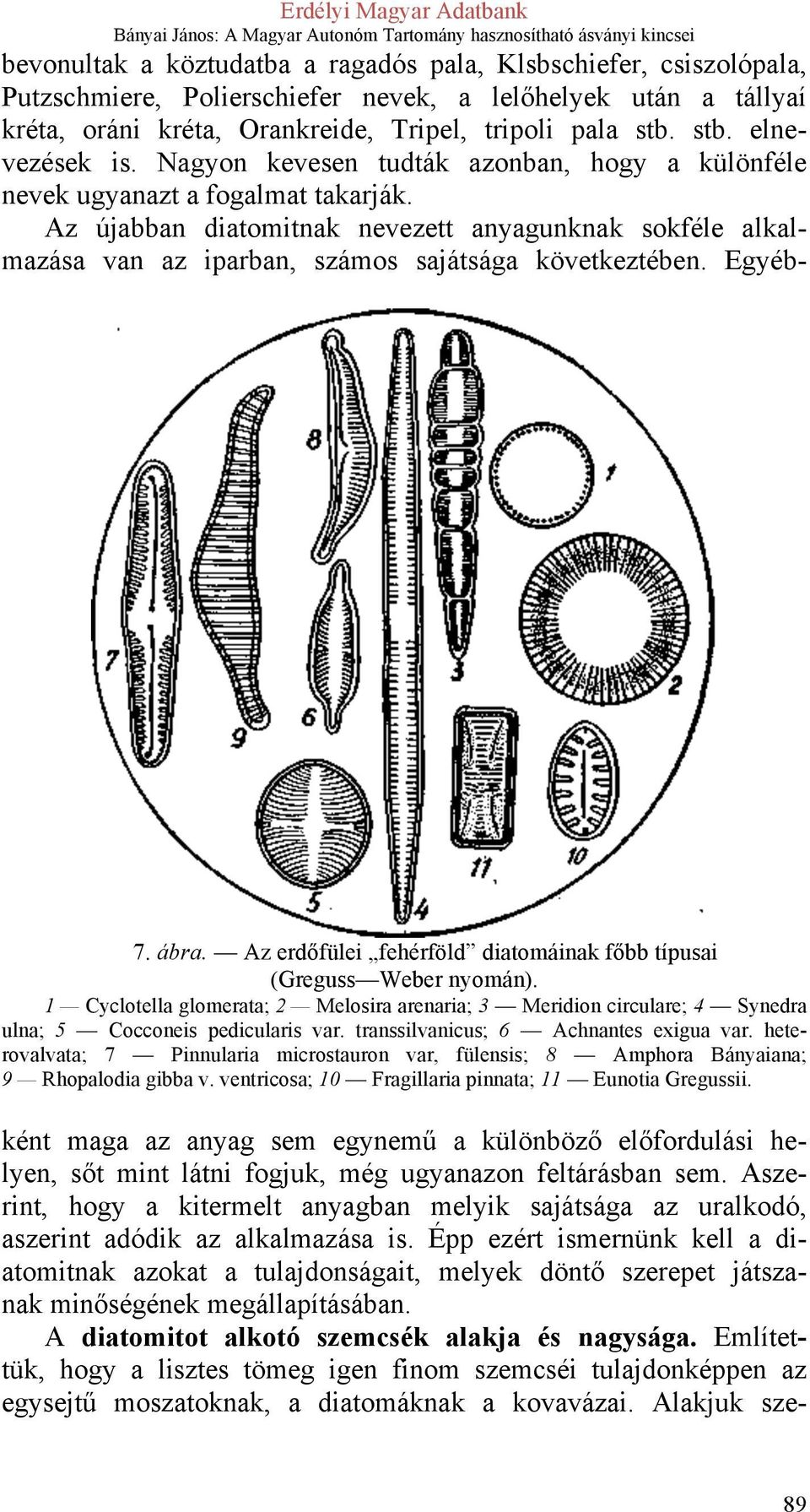 Az újabban diatomitnak nevezett anyagunknak sokféle alkalmazása van az iparban, számos sajátsága következtében. Egyéb- 7. ábra. Az erdőfülei fehérföld diatomáinak főbb típusai (Greguss Weber nyomán).