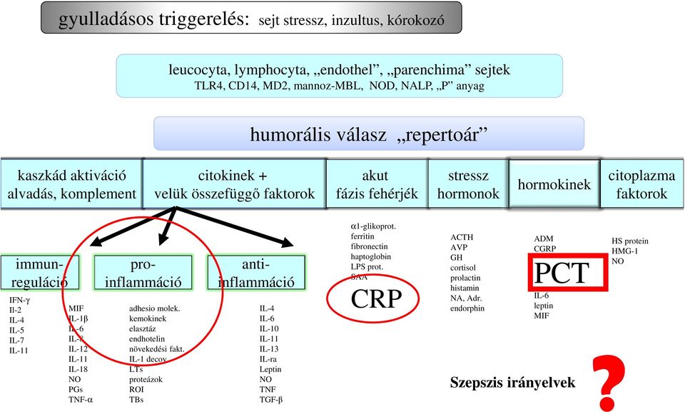 IL-18 NO PGs TNF-α adhesio molek. kemokinek elasztáz endhotelin növekedési fakt.