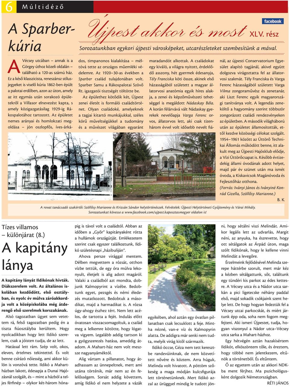 Ez a késő klasszicista, reneszánsz stílusjegyeket is viselő kúria 1862-ben épült a palotai erdőben, azon az úton, amely az itt egymás után sorakozó épületekről a Villasor elnevezést kapta, s amely