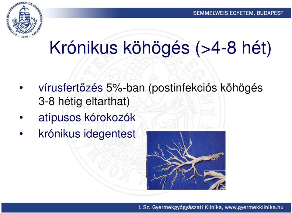 (postinfekciós köhögés 3-8 hétig