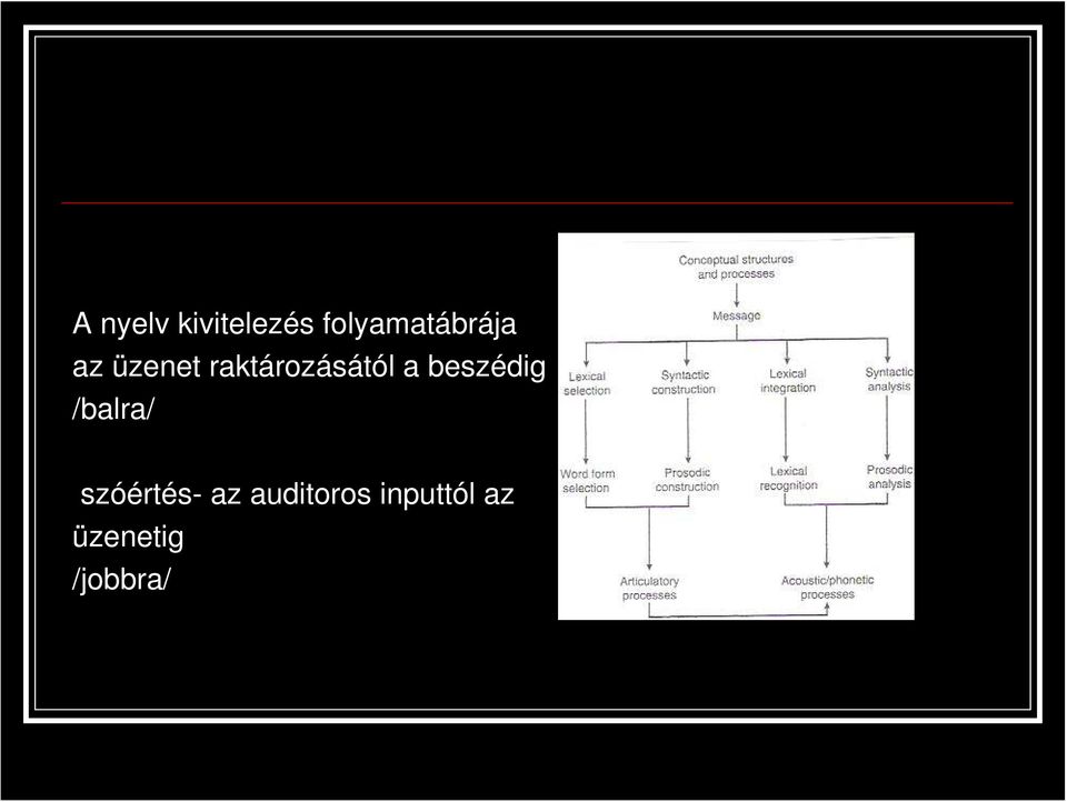 raktározásától a beszédig