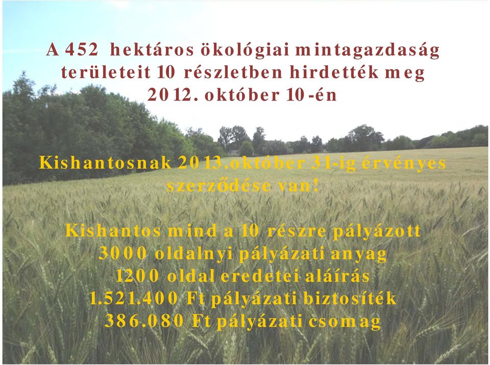 Kishantos mind a 10 részre pályázott 3000 oldalnyi pályázati anyag 1200 oldal