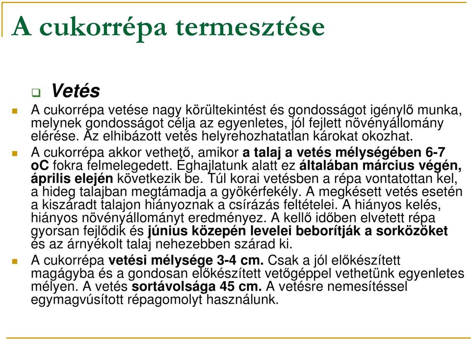 Éghajlatunk alatt ez általában március végén, április elején következik be. Túl korai vetésben a répa vontatottan kel, a hideg talajban megtámadja a gyökérfekély.