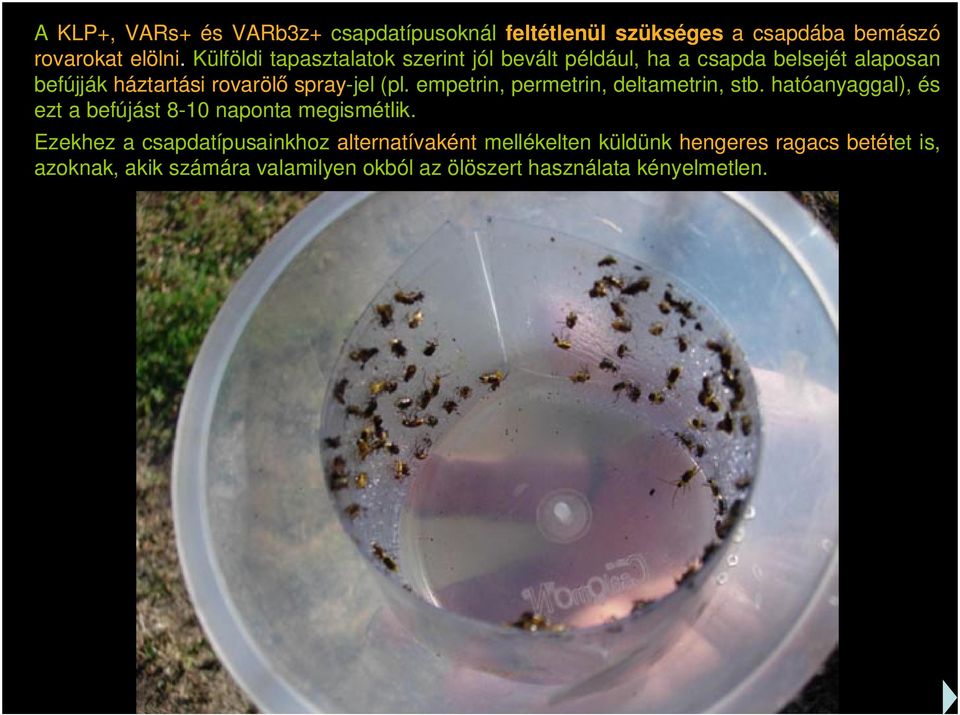 (pl. empetrin, permetrin, deltametrin, stb. hatóanyaggal), és ezt a befújást 8-10 naponta megismétlik.