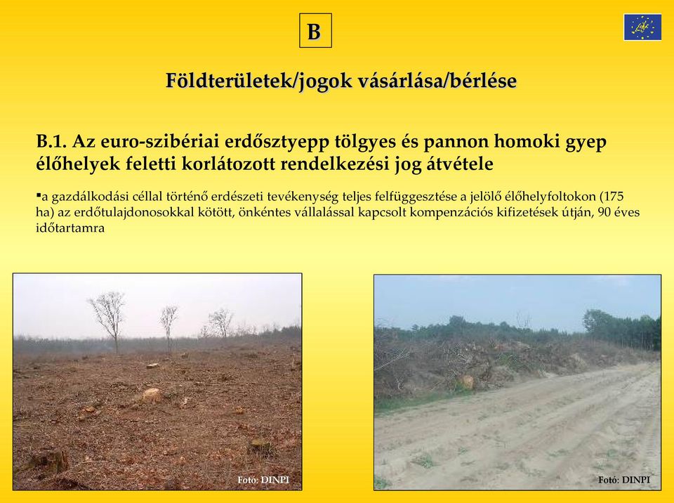 rendelkezési jog átvétele a gazdálkodási céllal történő erdészeti tevékenység teljes