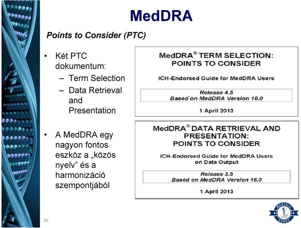 Presentation MedDRA A MedDRA egy nagyon