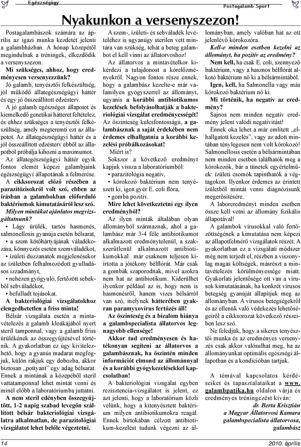 A jó galamb egészséges állapotot és kiemelkedő genetikai hátteret feltételez, és ehhez szükséges a tenyésztői felkészültség, amely megteremti ezt az állapotot.