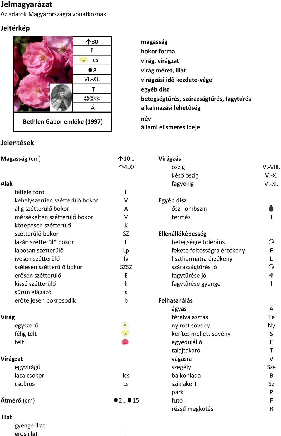 elismerés ideje Jelentések Magasság (cm) 10 Virágzás 400 szig V.-VIII. kés szig V.-X. Alak fagyokig V.-XI.