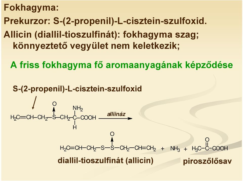 fokhagyma fő aromaanyagának képződése S-(2-propenil)-L-cisztein-szulfoxid H 2 C NH 2 alliináz CH C