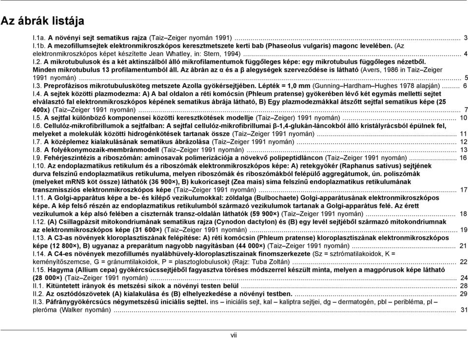 Minden mikrotubulus 13 profilamentumból áll. Az ábrán az α és a β alegységek szerveződése is látható (Avers, 1986 in Taiz Zeiger 1991 nyomán)... 5 I.3. Preprofázisos mikrotubulusköteg metszete Azolla gyökérsejtjében.