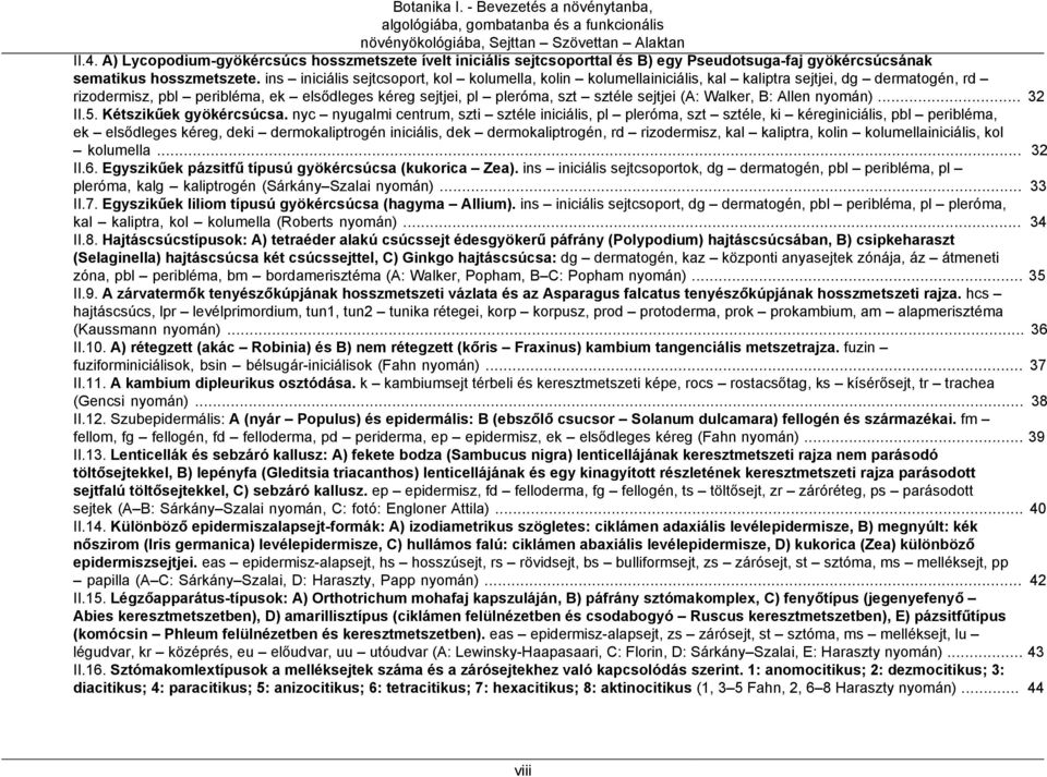 ins iniciális sejtcsoport, kol kolumella, kolin kolumellainiciális, kal kaliptra sejtjei, dg dermatogén, rd rizodermisz, pbl peribléma, ek elsődleges kéreg sejtjei, pl pleróma, szt sztéle sejtjei (A: