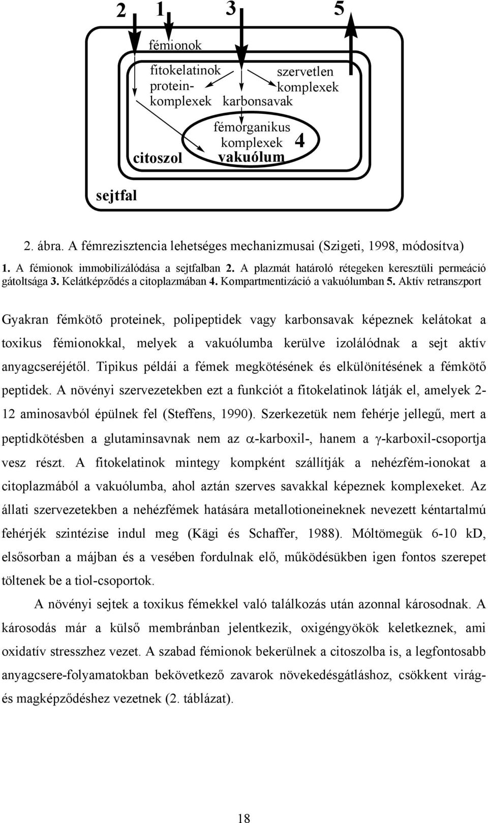 Kelátképződés a citoplazmában 4. Kompartmentizáció a vakuólumban 5.