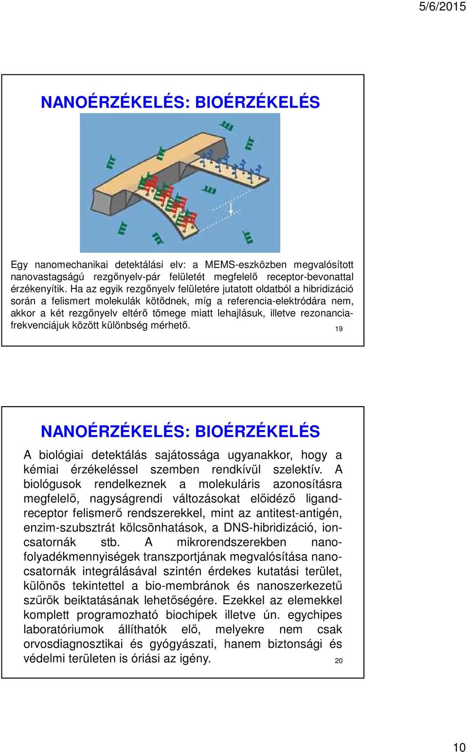 illetve rezonanciafrekvenciájuk között különbség mérhető. 19 NANOÉRZÉKELÉS: BIOÉRZÉKELÉS A biológiai detektálás sajátossága ugyanakkor, hogy a kémiai érzékeléssel szemben rendkívül szelektív.