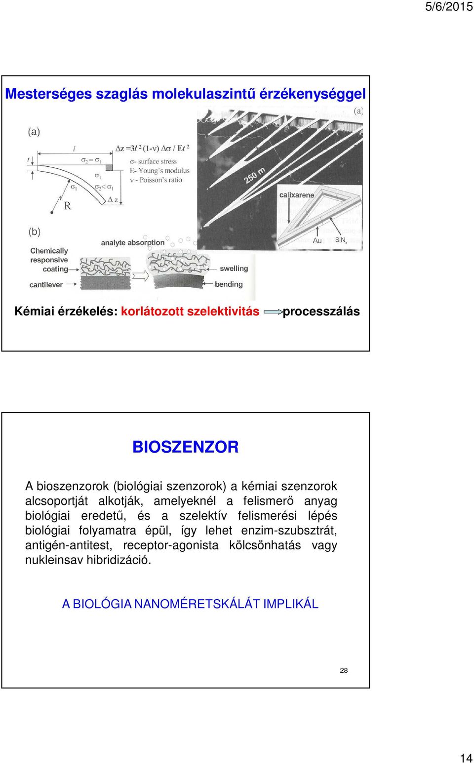 anyag biológiai eredetű, és a szelektív felismerési lépés biológiai folyamatra épül, így lehet enzim-szubsztrát,