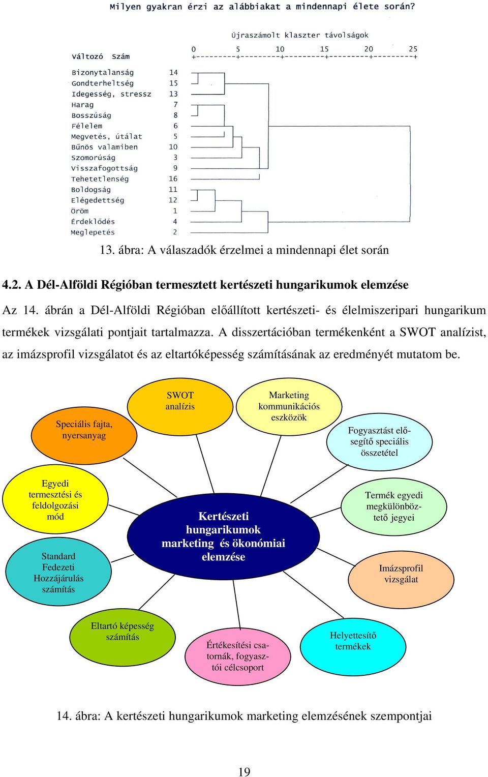 A disszertációban termékenként a SWOT analízist, az imázsprofil vizsgálatot és az eltartóképesség számításának az eredményét mutatom be.