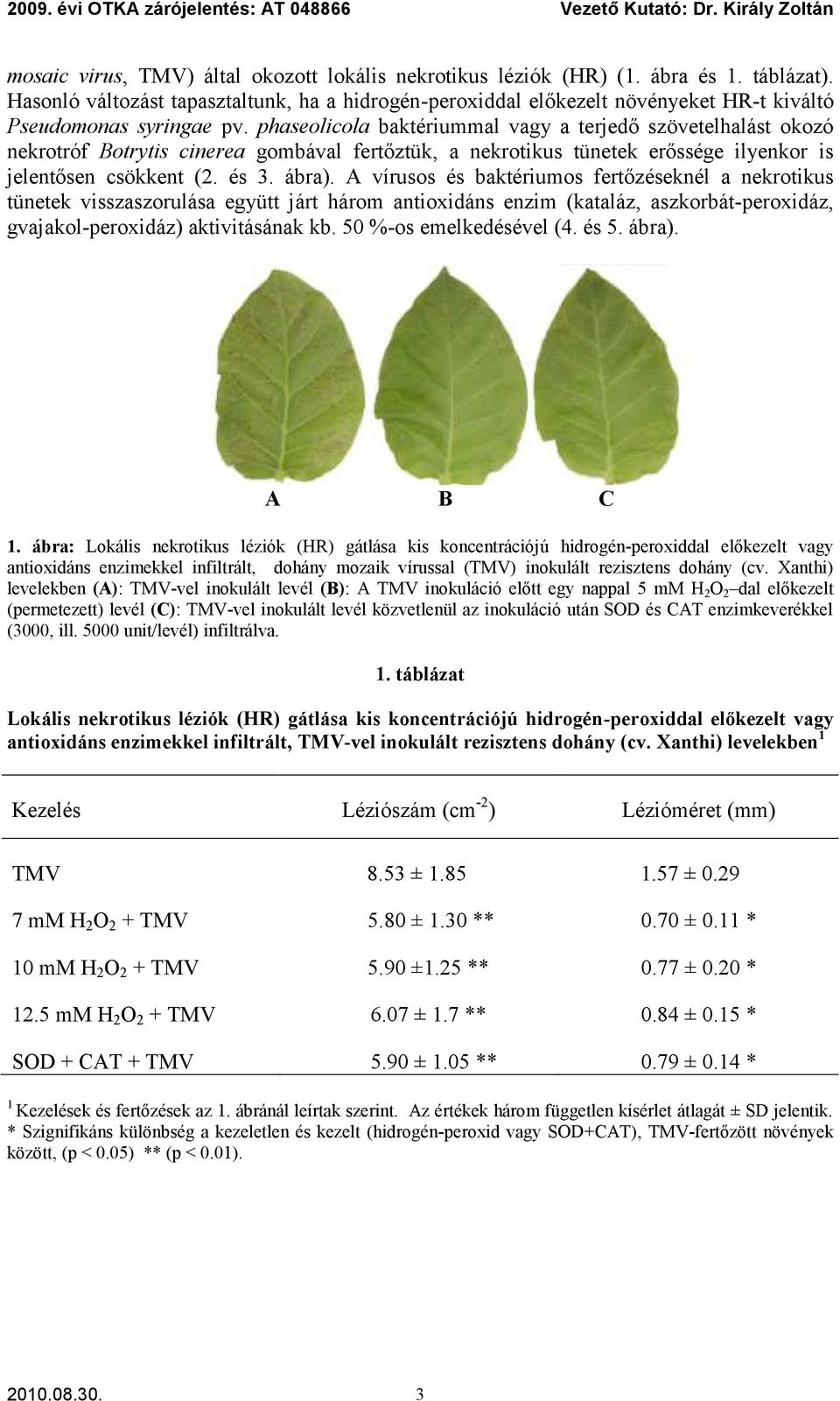 phaseolicola baktériummal vagy a terjedő szövetelhalást okozó nekrotróf Botrytis cinerea gombával fertőztük, a nekrotikus tünetek erőssége ilyenkor is jelentősen csökkent (2. és 3. ábra).