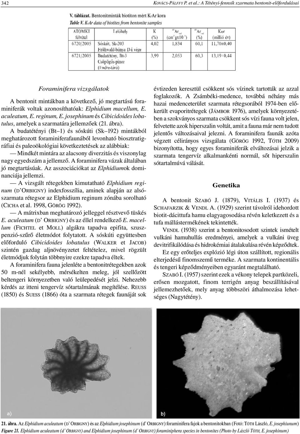 reginum, E. josephinum és Cibicidoides lobatulus, amelyek a szarmatára jellemzőek (21. ábra).