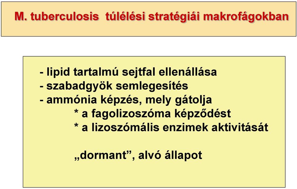 ammónia képzés, mely gátolja * a fagolizoszóma képződést