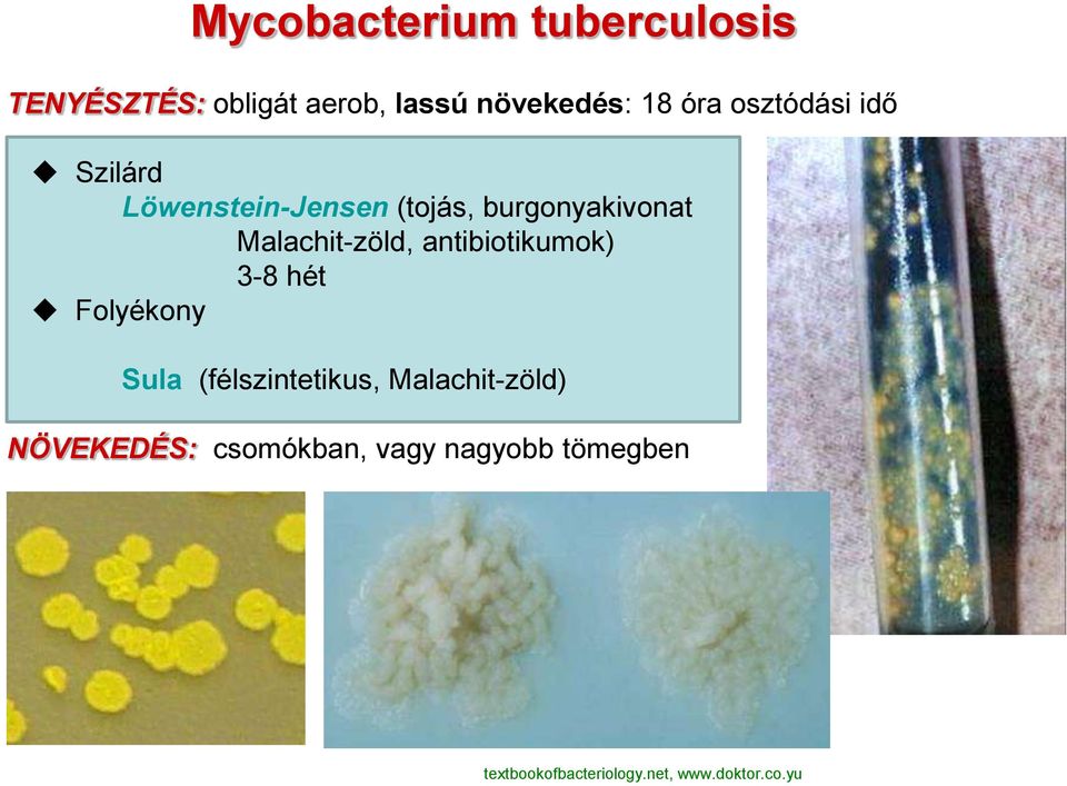 antibiotikumok) 3-8 hét Folyékony Sula (félszintetikus, Malachit-zöld)