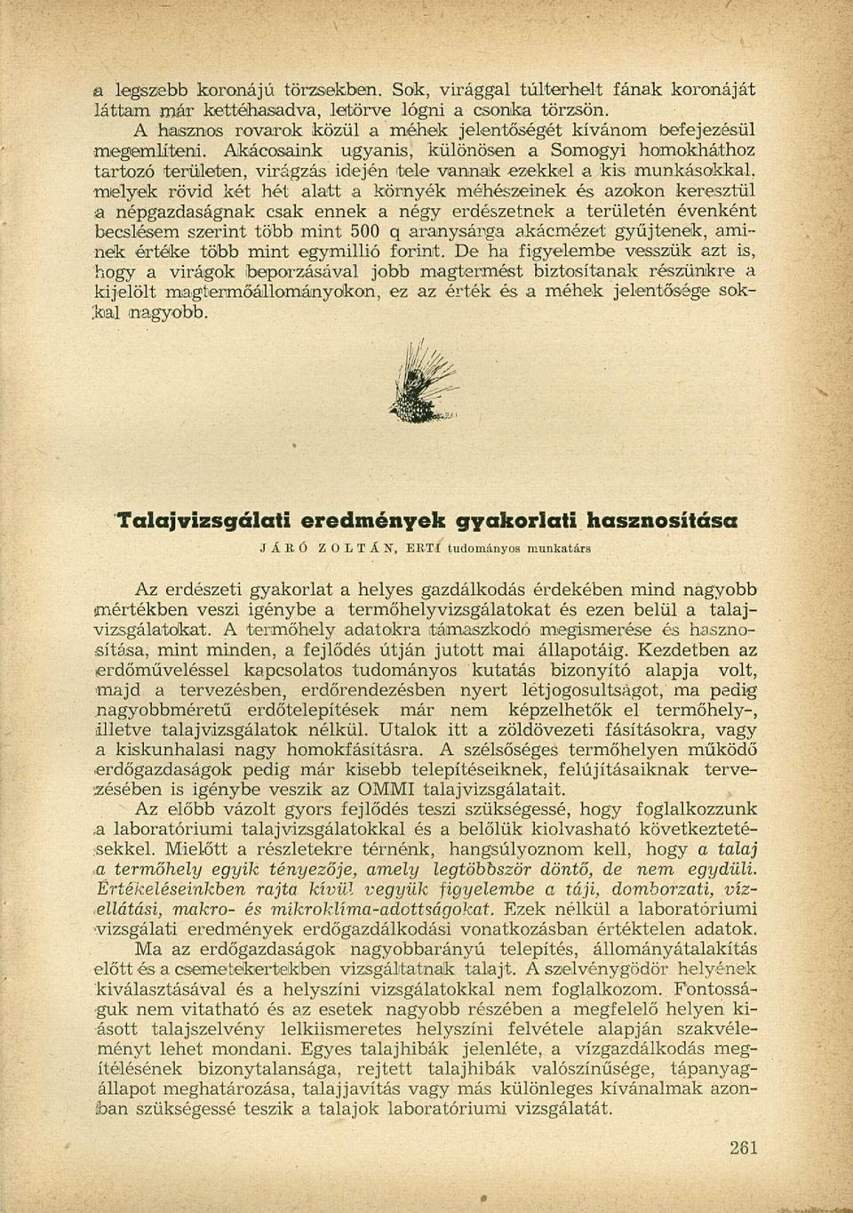 Akácosaink ugyanis, különösen a Somogyi homokháthoz tartozó területen, virágzás idején tele vannak ezekkel a kis munkásokkal, melyek rövid két hét alatt a környék méhészeinek és azokon keresztül a