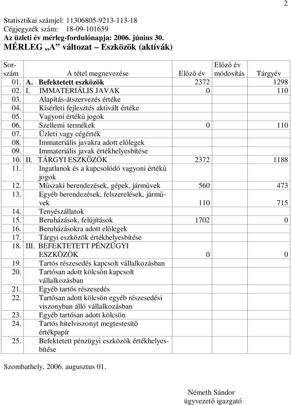 Alapítás-átszervezés értéke 04. Kísérleti fejlesztés aktivált értéke 05. Vagyoni értékű jogok 06. Szellemi termékek 0 110 07. Üzleti vagy cégérték 08. Immateriális javakra adott előlegek 09.