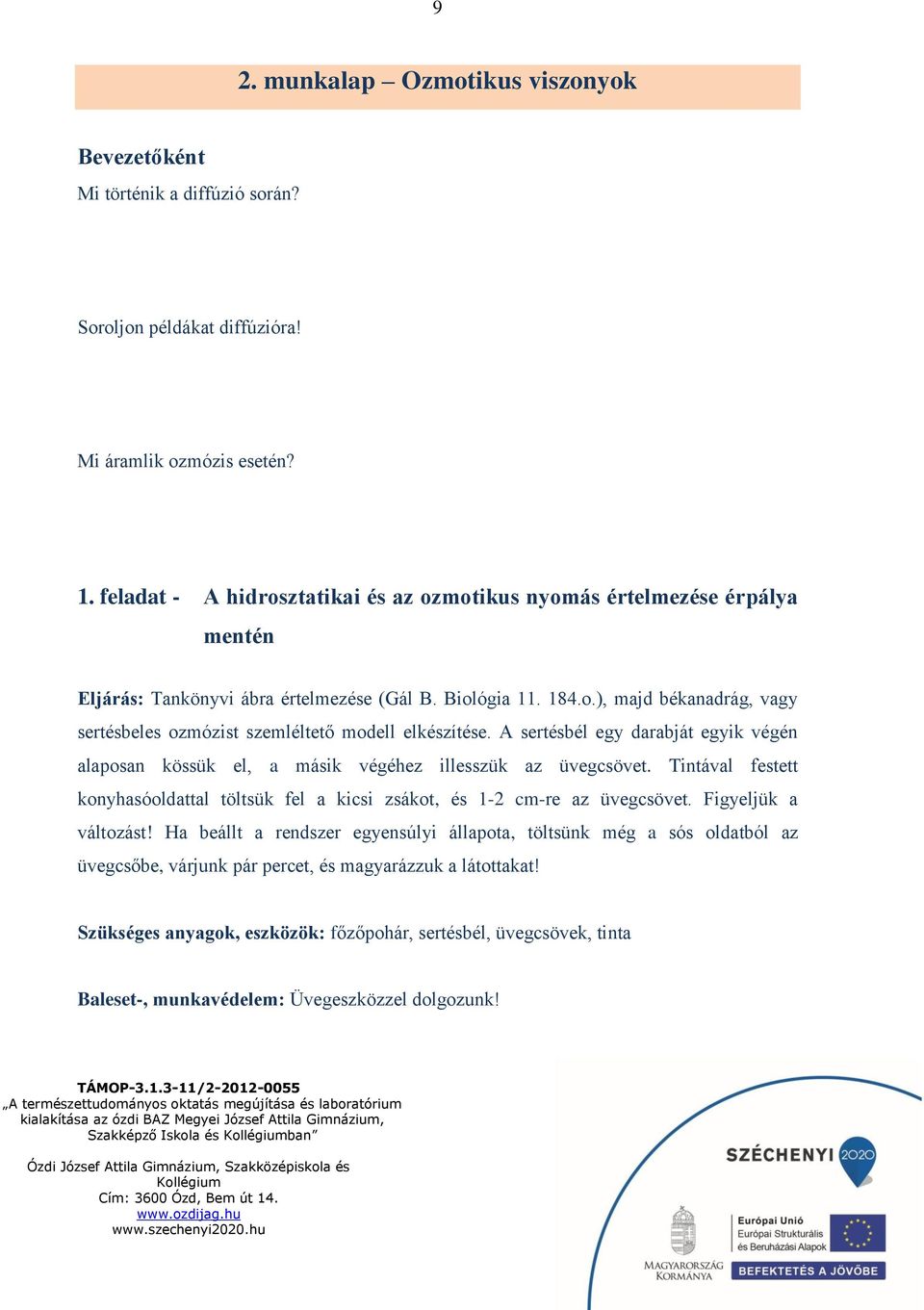 A sertésbél egy darabját egyik végén alaposan kössük el, a másik végéhez illesszük az üvegcsövet. Tintával festett konyhasóoldattal töltsük fel a kicsi zsákot, és 1-2 cm-re az üvegcsövet.