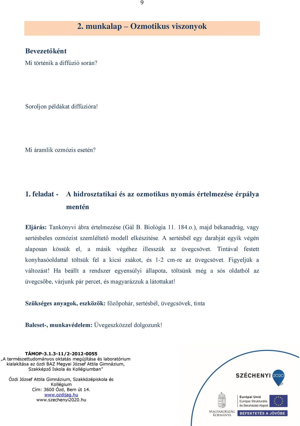 A sertésbél egy darabját egyik végén alaposan kössük el, a másik végéhez illesszük az üvegcsövet. Tintával festett konyhasóoldattal töltsük fel a kicsi zsákot, és 1-2 cm-re az üvegcsövet.